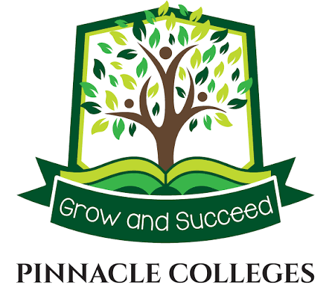 Pinnacle College: Cleaner
