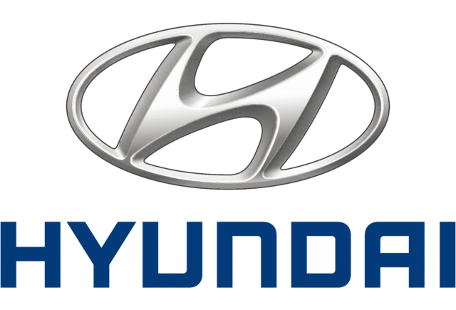 Hyundai: Driver